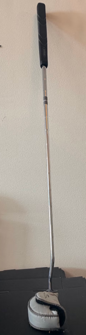 Cobra Putter